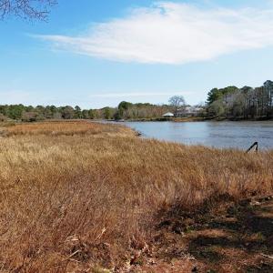 view from next door to lot at water