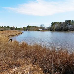 Photo #5 of Tract B TAYLOR CREEK DR, PUNGOTEAGUE, VA 5.2 acres