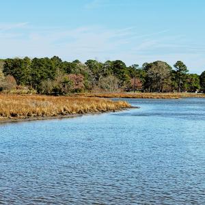 view from next door to lot at water