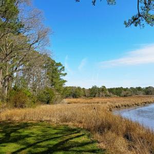 view from next door to homesite at water