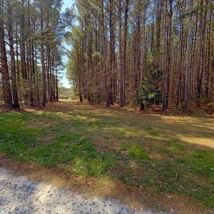 directly across road from homesite