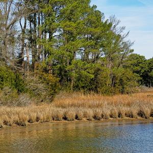 view from next door to homesite at water