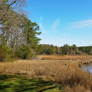 view from next door to lot at water