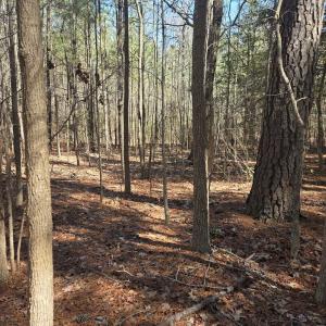 Photo #2 of HOLLY COVE RD, ONANCOCK, VA 3.4 acres