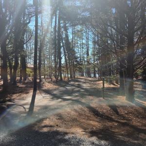 Photo #3 of HOLLY COVE RD, ONANCOCK, VA 3.4 acres