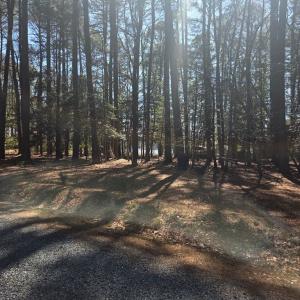 View 1 Across the Street