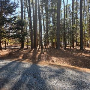 View 2 Across the Street