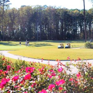 Photo #25 of 409 WALBRIDGE BEND, CAPE CHARLES, VA 0.1 acres