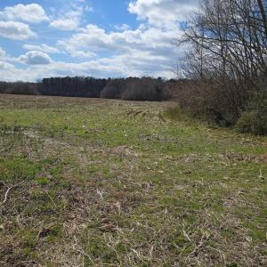 Photo #2 of HOPETON RD, PARKSLEY, VA 58.8 acres