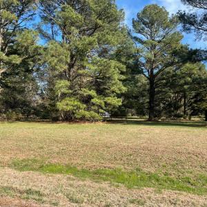 Photo #3 of Lot 302 UNDERWAY RD, GREENBACKVILLE, VA 9,321.0 acres
