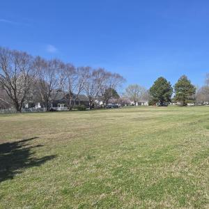 Photo #11 of Lot 45 ARLINGTON CHASE RD, CAPE CHARLES, VA 1.5 acres