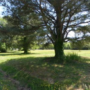 Photo #19 of Lot 45 ARLINGTON CHASE RD, CAPE CHARLES, VA 1.5 acres
