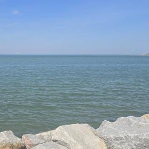 Photo #29 of Lot 45 ARLINGTON CHASE RD, CAPE CHARLES, VA 1.5 acres