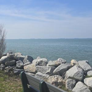 Photo #30 of Lot 45 ARLINGTON CHASE RD, CAPE CHARLES, VA 1.5 acres