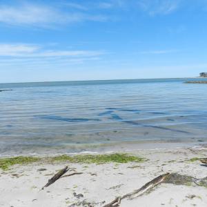 Photo #8 of Lot 45 ARLINGTON CHASE RD, CAPE CHARLES, VA 1.5 acres