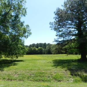 Photo #17 of Lot 45 ARLINGTON CHASE RD, CAPE CHARLES, VA 1.5 acres