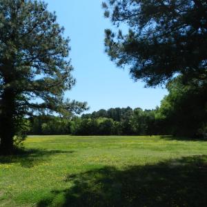 Photo #18 of Lot 45 ARLINGTON CHASE RD, CAPE CHARLES, VA 1.5 acres