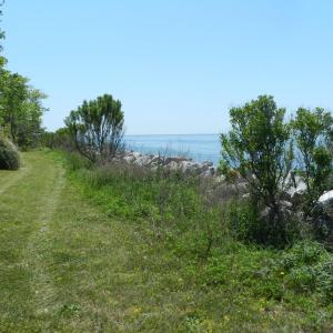 Photo #27 of Lot 45 ARLINGTON CHASE RD, CAPE CHARLES, VA 1.5 acres