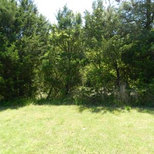 Photo #21 of Lot 45 ARLINGTON CHASE RD, CAPE CHARLES, VA 1.5 acres