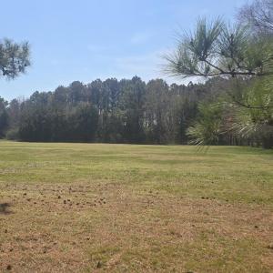 Photo #31 of Lot 45 ARLINGTON CHASE RD, CAPE CHARLES, VA 1.5 acres