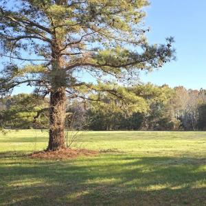 Photo #4 of Lot 45 ARLINGTON CHASE RD, CAPE CHARLES, VA 1.5 acres