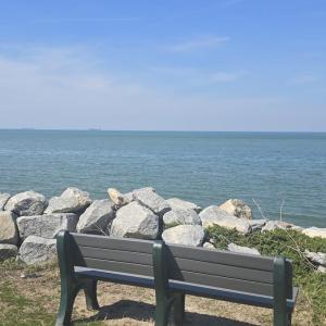 Photo #9 of Lot 45 ARLINGTON CHASE RD, CAPE CHARLES, VA 1.5 acres