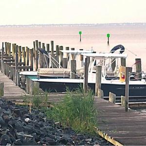 Photo #16 of Lot 1347 ANCHOR CT, GREENBACKVILLE, VA 15.0 acres