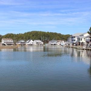 Photo #3 of 1213 SALTY WAY, GREENBACKVILLE, VA 84.0 acres