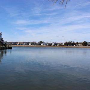 Photo #5 of 1213 SALTY WAY, GREENBACKVILLE, VA 84.0 acres