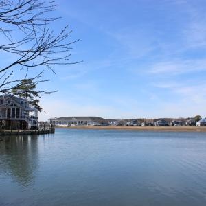 Photo #6 of 1213 SALTY WAY, GREENBACKVILLE, VA 84.0 acres