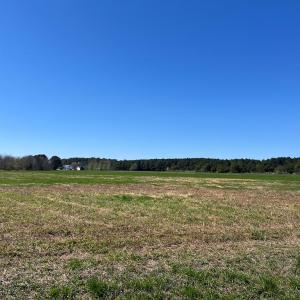 Photo #3 of WILSONIA DR, MACHIPONGO, VA 5.0 acres