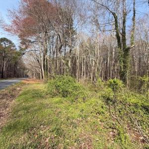 Photo #3 of SAVAGE NECK RD, EASTVILLE, VA 89.0 acres