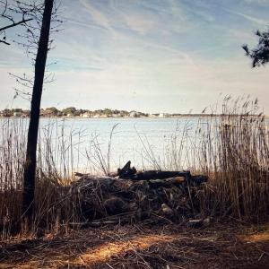 Photo #11 of 1 WOODLAND DR, CHINCOTEAGUE, VA 0.7 acres