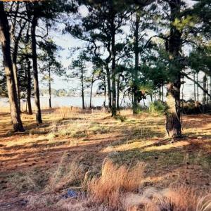 Photo #2 of 1 WOODLAND DR, CHINCOTEAGUE, VA 0.7 acres