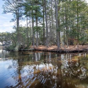 Photo #3 of Lot 1136 SCIMITAR WAY, GREENBACKVILLE, VA 11.0 acres