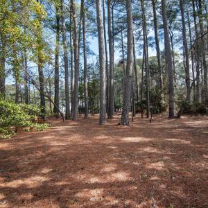 Photo #7 of Lot 1136 SCIMITAR WAY, GREENBACKVILLE, VA 11.0 acres