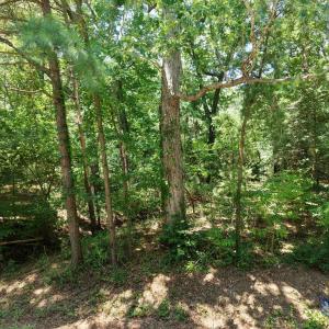 Photo #11 of LOT 3A HARBOUR LN, EASTVILLE, VA 1.6 acres