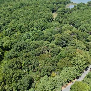 Photo #14 of LOT 3A HARBOUR LN, EASTVILLE, VA 1.6 acres