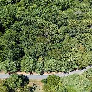 Photo #15 of LOT 3A HARBOUR LN, EASTVILLE, VA 1.6 acres