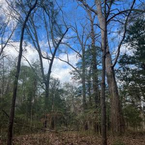Photo #2 of LOT 3A HARBOUR LN, EASTVILLE, VA 1.6 acres