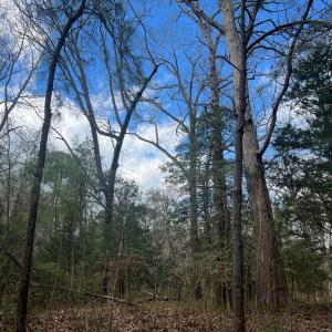 Photo #4 of LOT 3A HARBOUR LN, EASTVILLE, VA 1.6 acres