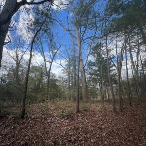 Photo #5 of LOT 3A HARBOUR LN, EASTVILLE, VA 1.6 acres