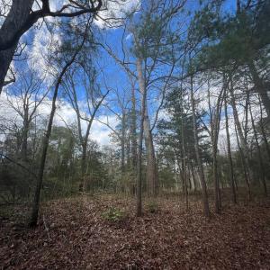 Photo #7 of LOT 3A HARBOUR LN, EASTVILLE, VA 1.6 acres