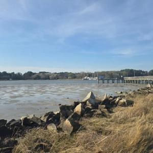 Photo #13 of Lot #2 PINE MEADOWS WAY, EXMORE, VA 1.2 acres