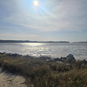 Photo #14 of Lot #2 PINE MEADOWS WAY, EXMORE, VA 1.2 acres
