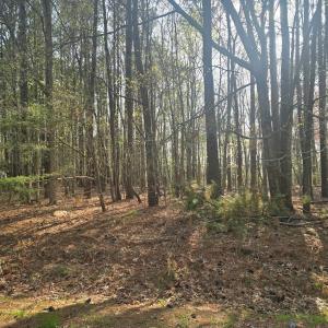 Photo #3 of Lot #2 PINE MEADOWS WAY, EXMORE, VA 1.2 acres