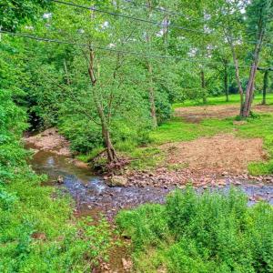 Photo #3 of 18 OLD MILL RD, WASHINGTON, VA 4.0 acres