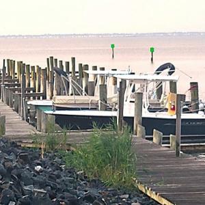 Photo #14 of Lot 43 NEPTUNE DR, GREENBACKVILLE, VA 11.0 acres