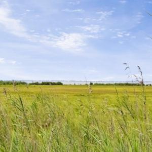 Photo #2 of Lot 43 NEPTUNE DR, GREENBACKVILLE, VA 11.0 acres