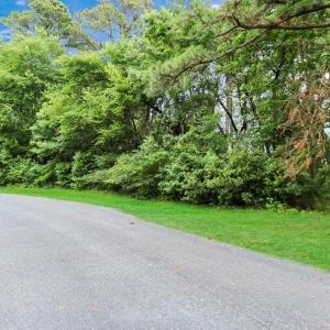 Photo #3 of Lot 43 NEPTUNE DR, GREENBACKVILLE, VA 11.0 acres